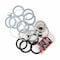 Bedford Precision Parts Bedford Precision Pump Service Kit, Minor for Titan 315-050 20-3883 - alternate 1